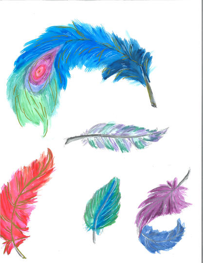 Feathers