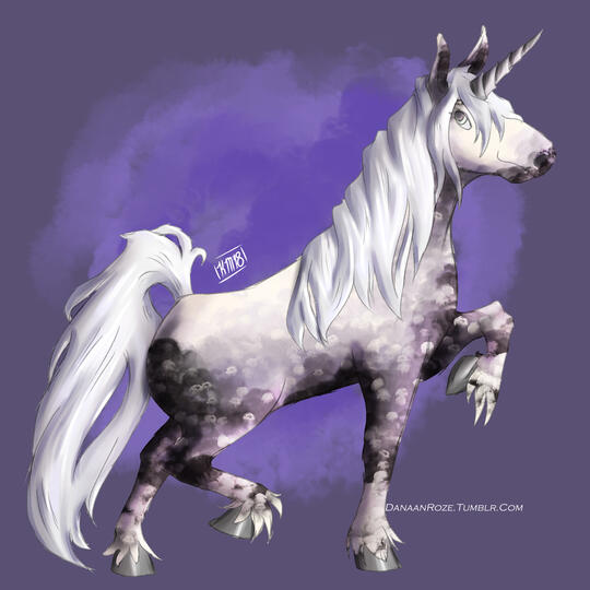 Percheron Unicorn