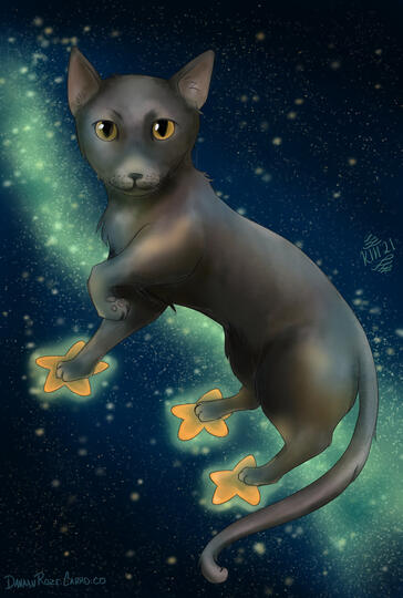 Galaxy Jojo